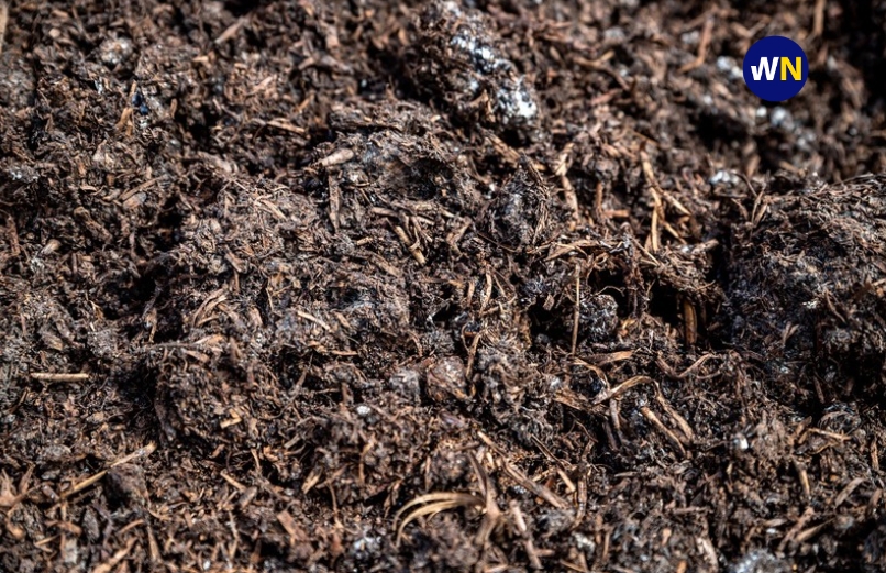 Poultry farm in Abuja