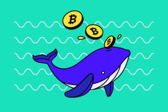 What is a Crypto Whale? 