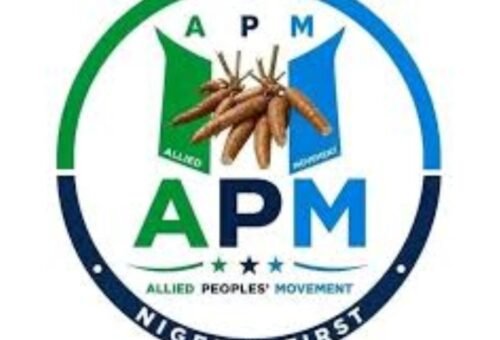 Okpebholo should resign over UK fuel expense comparison – APM