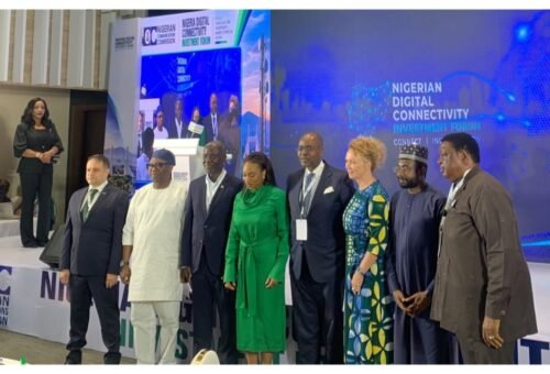 Digital connectivity must restate into productivity – Oduwole