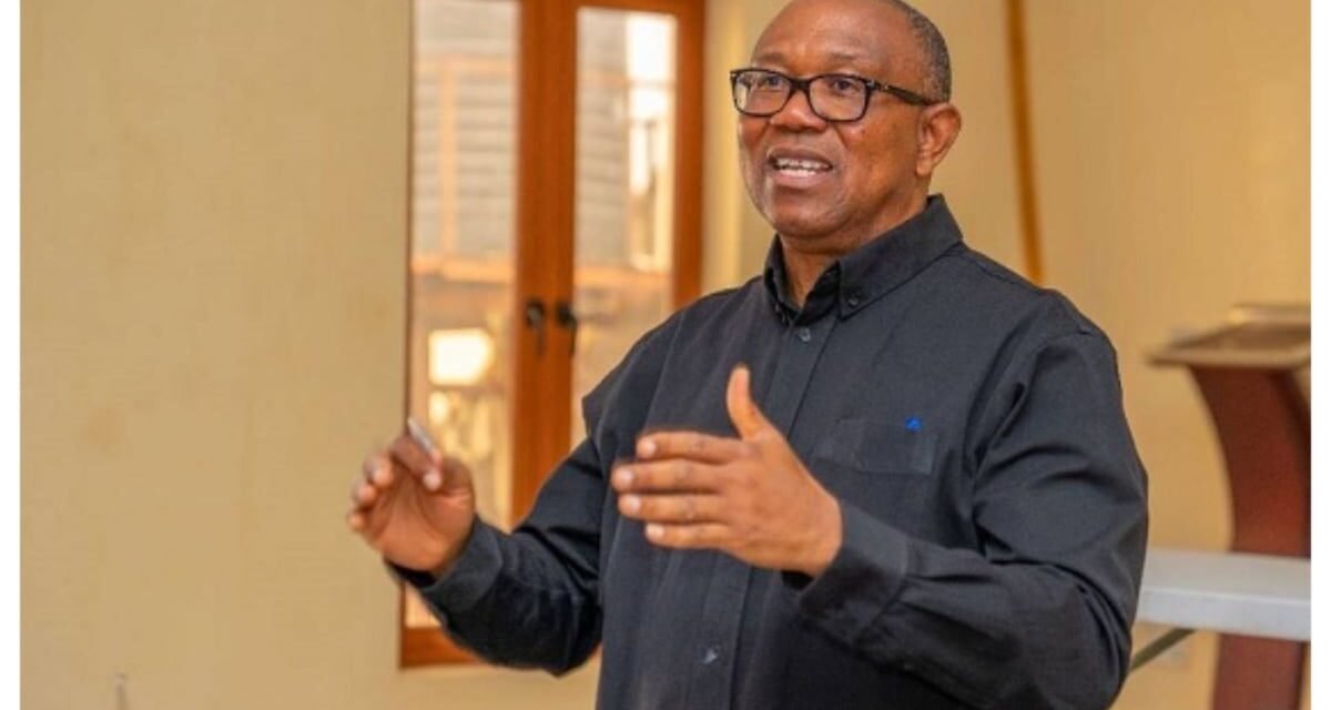 ‘We will bring endorse subsidy following tackling corruption’ – Obi promises Nigerians ‘We will bring endorse subsidy following tackling corruption’ – Obi promises Nigerians