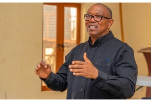 ‘We will bring endorse subsidy following tackling corruption’ – Obi promises Nigerians