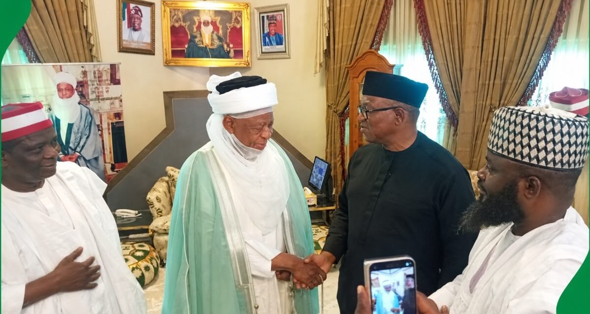 Details Emerge As Peter Obi, Kwankwaso See Sultan Of Sokoto (Photos)