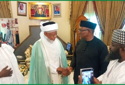 Details Emerge As Peter Obi, Kwankwaso See Sultan Of Sokoto (Photos)