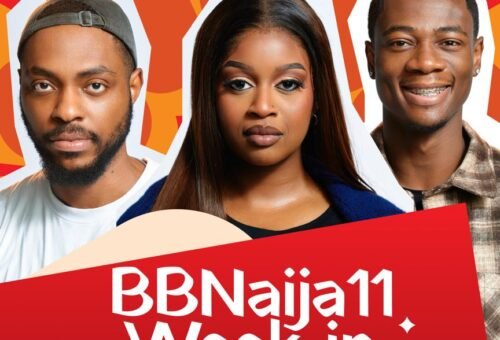 BBNaija Demonstrate Ya Sef Week 9 Was Filled of Veto Twists, BB Bucks & a Triple Eviction