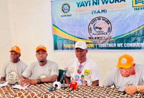 ‘Nigerians are suffering’ – Ogun collection backs result of fuel subsidy