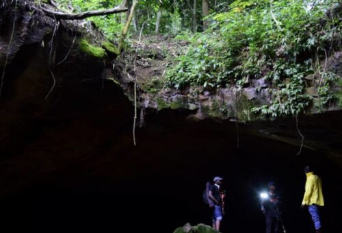 Ogbunike Caves