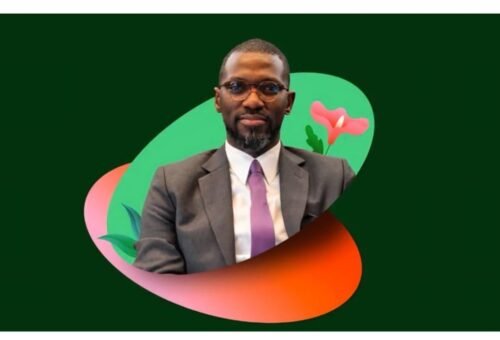 Stanel Group’s Uzochukwu congratulates Flutterwave founder Agboola on recognition in the midst of world’s top 100 fintech leaders