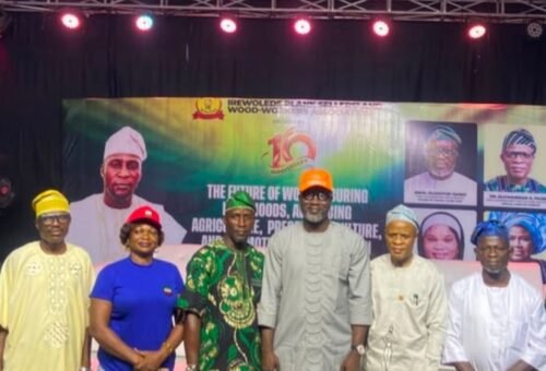 Occupy in tree planting to strengthen afforestation programme – Ogun govt tells plank sellers