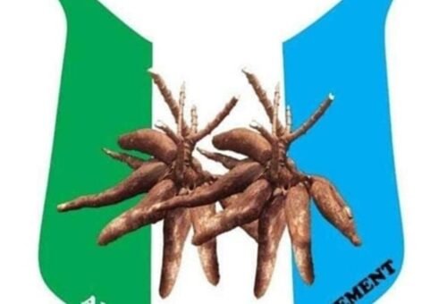 Oyo: Alli’s camp afraid of defeat, says APM