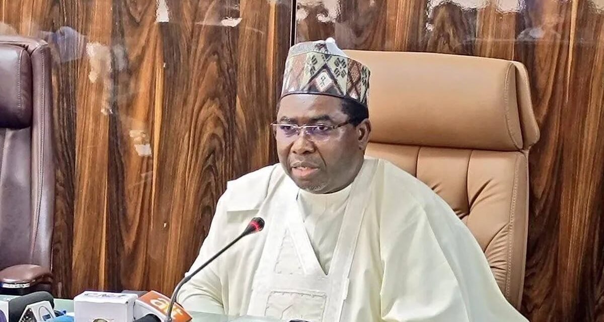 Unverified electoral fraud claims damage public burden, INEC chairman warns