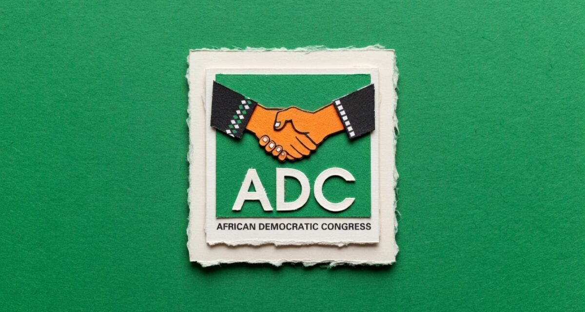 ADC women support group begins door-to-door mobilisation in Kano – Daily Trust