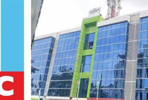 Why APC opted for ‘Rainbow campaign council’ – Daily Trust