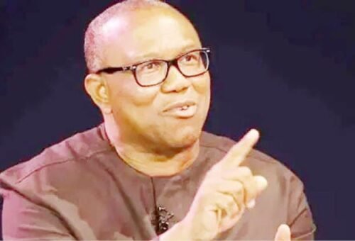 Obi’s camp knocks Shettima over remark on NDC candidate – Daily Trust
