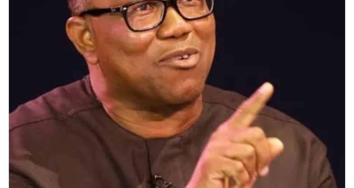 EndSARS: ‘Price Nigerians youths paid for demanding better country’ — Peter Obi
