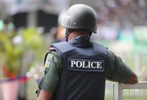 Police tear-gas Rhodes-Vivour, Doherty, others at Lekki Tollgate – Daily Trust