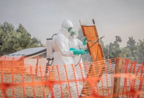 FG activates response as Nigeria records fresh Ebola case – Daily Trust