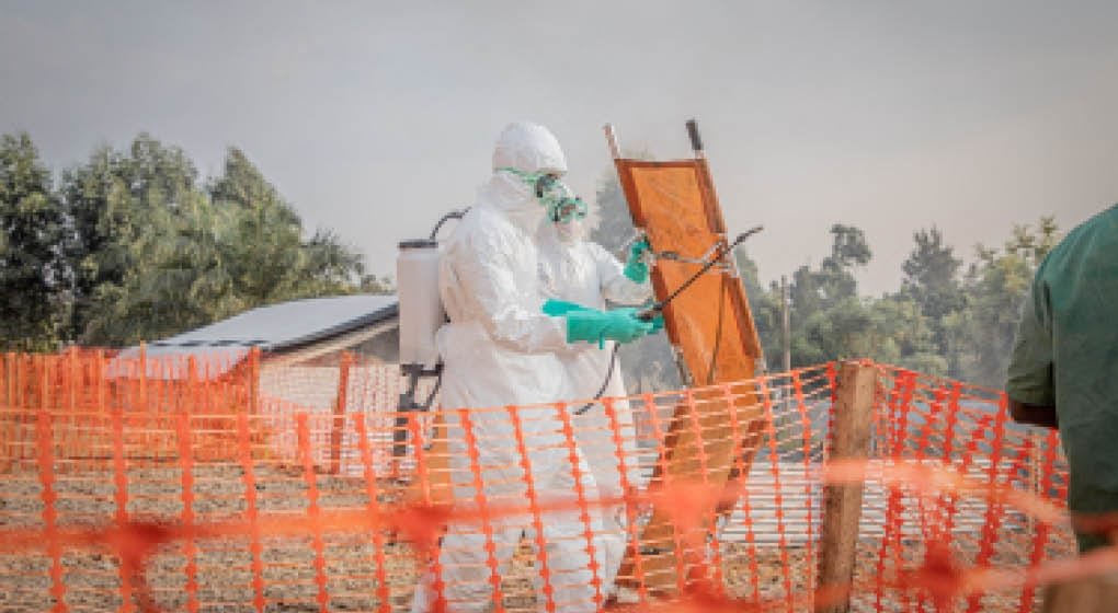 FG activates response as Nigeria records fresh Ebola case – Daily Trust