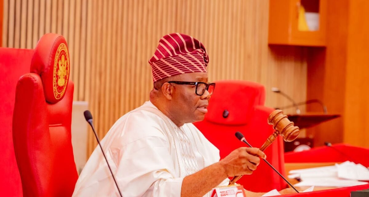 Senate passes amended raw materials, public procurement bills – Daily Trust