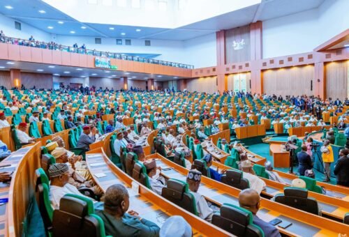 Nigerian lawmakers demand release of outstanding funds for health agencies to strengthen response