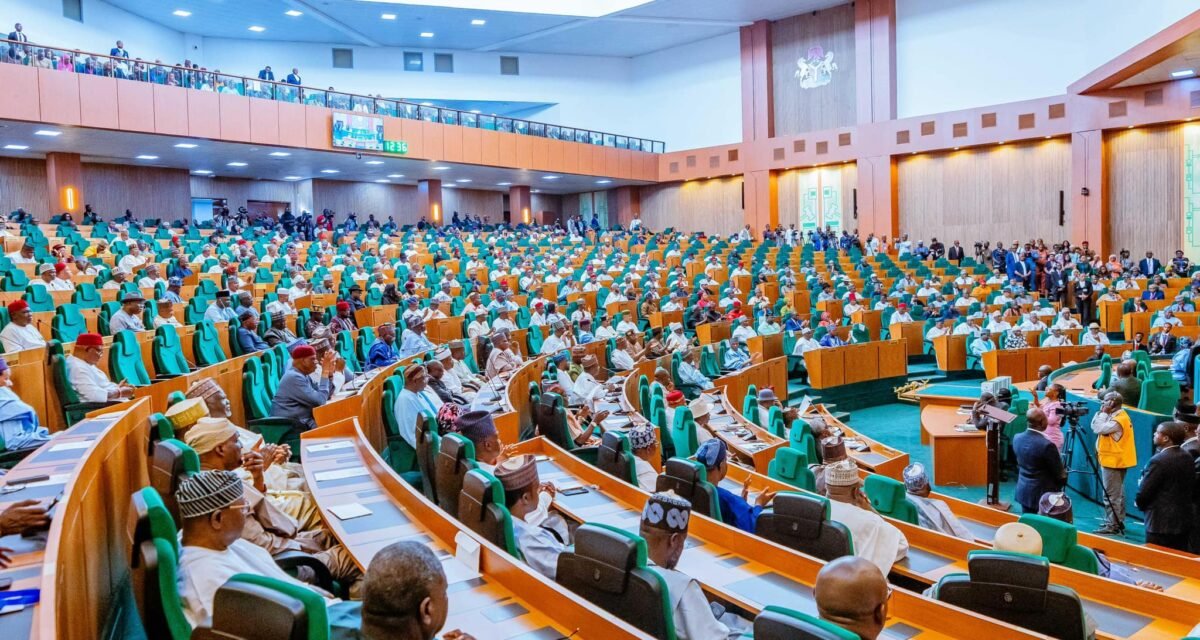 Reps warn participating institutions against manipulating NELFUND loans Reps warn participating institutions against manipulating NELFUND loans