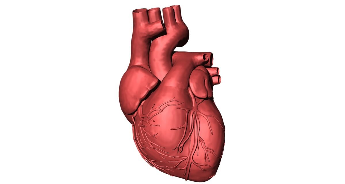 Cardiologist warns military personnel of high blood pressure, heart disease risks Cardiologist warns military personnel of high blood pressure, heart disease risks