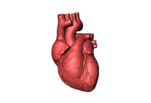 Cardiologist warns military personnel of high blood pressure, heart disease risks
