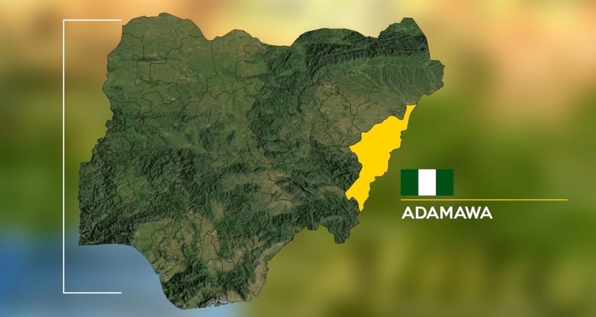 Fulani community suspends cattle, milk sales in Adamawa’s Song LGA