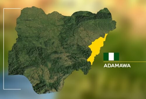 Troops kill 6 suspected Boko Haram, ISWAP terrorists in Adamawa – Daily Trust