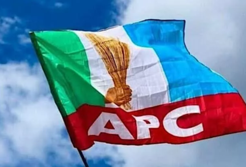2027: Ibarapa will deliver massive votes for APC — Party chieftain