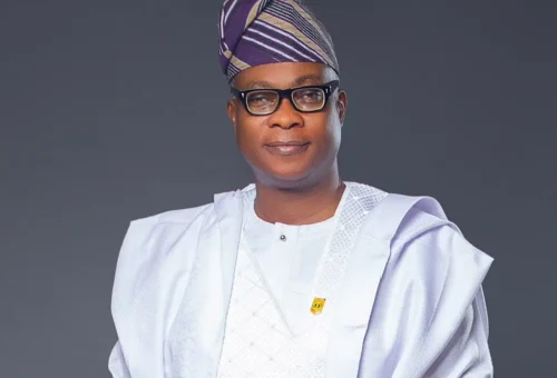 A Technocrat as Oyo Gov in 2027 – THISDAYLIVE