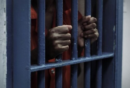 Nigerian campaign worker arrested by ICE after guilty plea in US