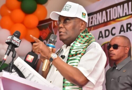 Tinubu copying my subsidy model – Atiku – Daily Trust