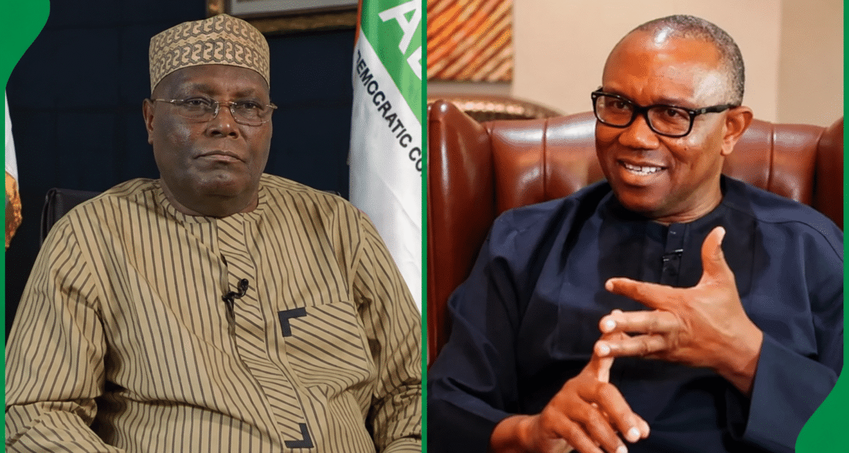 G100 Considers Outline B As Atiku, Peter Obi Resist Only-candidate Tactic