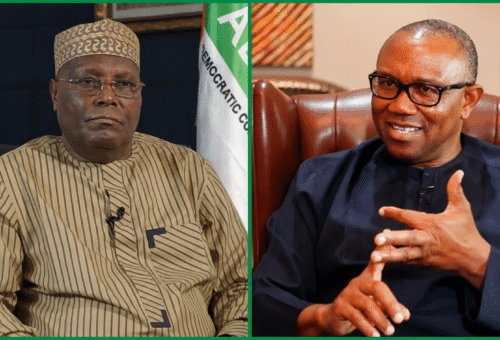 G100 Considers Outline B As Atiku, Peter Obi Resist Only-candidate Tactic