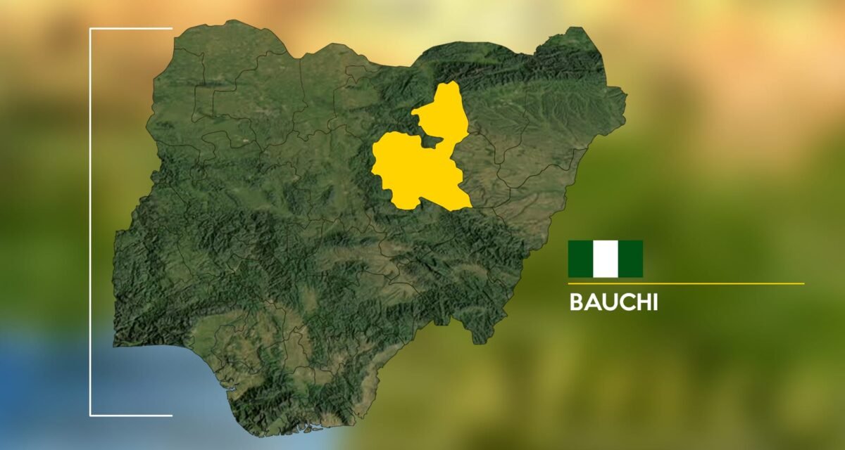 Another Bauchi lawmaker withdraws from 2027 race – Daily Trust