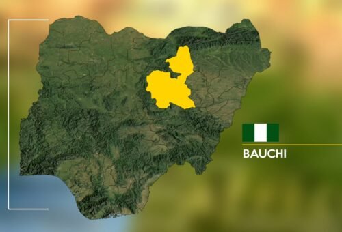 Another Bauchi lawmaker withdraws from 2027 race – Daily Trust