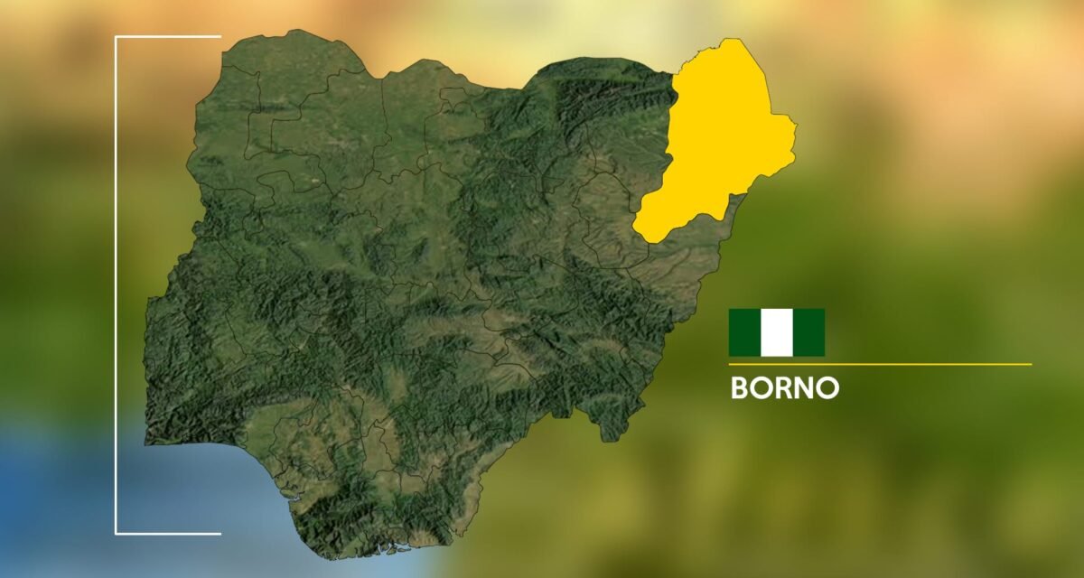 Troops repel Boko Haram assault, Kill 25 terrorists – Daily Trust
