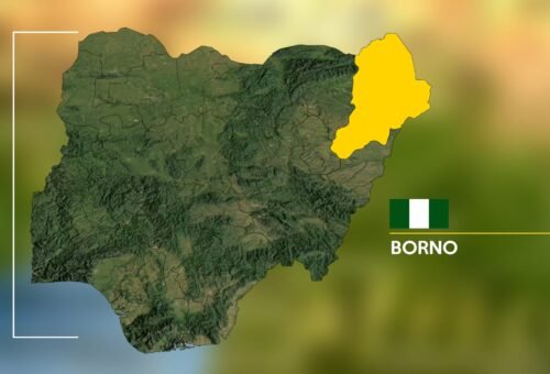 Troops repel Boko Haram assault, Kill 25 terrorists – Daily Trust