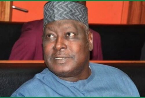 Buhari Called Me Thief When I Told Him What I Truly Needed From His Government