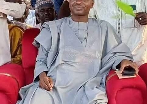 Court nullifies ADC candidate’s election for Akko Reps seat – Daily Trust