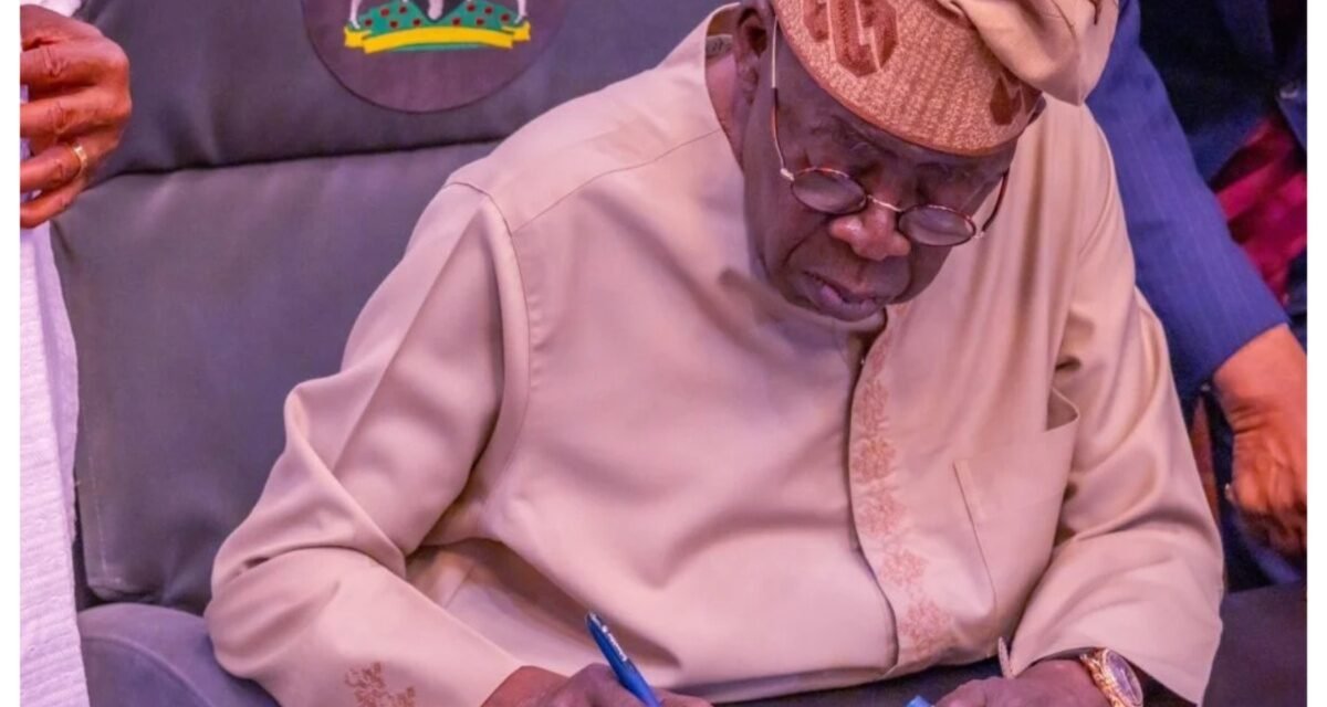 Tinubu gives appointment to Enugu ex-lawmaker, Chinedu Nwamba