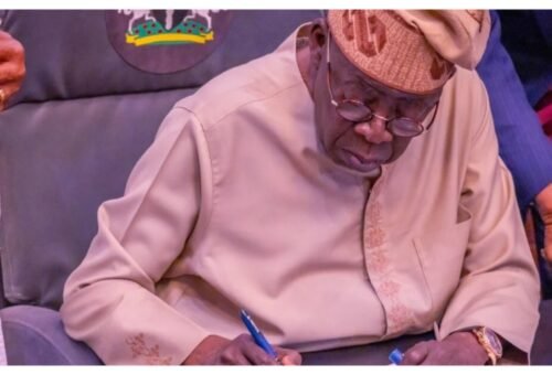 Tinubu gives appointment to Enugu ex-lawmaker, Chinedu Nwamba
