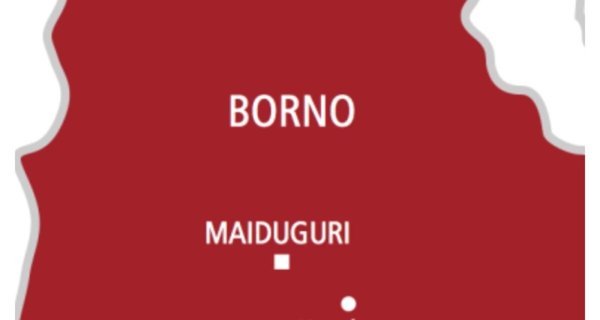 Insecurity: Five Borno communities return home as farming, schools resume