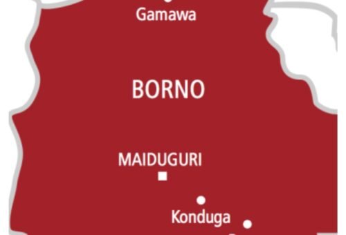 Insecurity: Five Borno communities return home as farming, schools resume