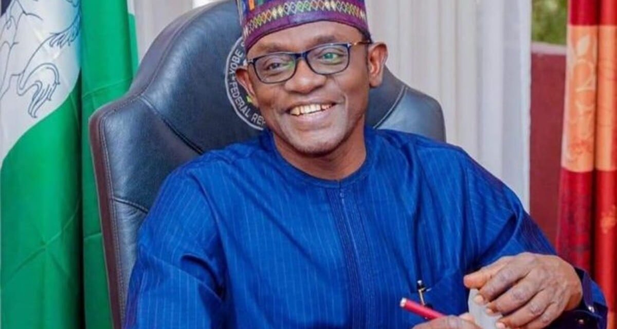 Buni approves Dangote refinery shares for 43,928 vulnerable Yobe women
