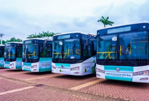 We’re targeting 1m CNG-powered vehicles to cut transport cost – Daily Trust
