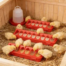 Security Guard Docked For Allegedly Selling Employer’s Chicken Feeders