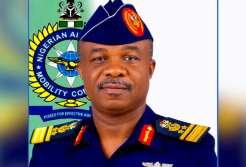 Victims’ sacrifice must be honoured – Air Force chief – Daily Trust
