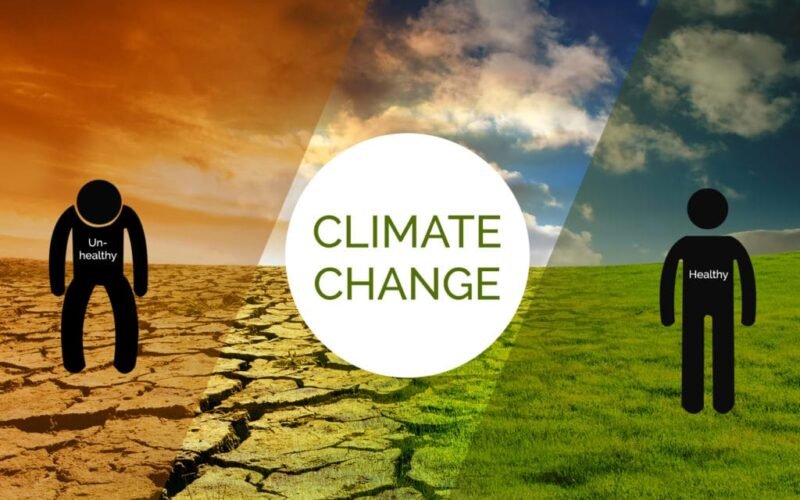 FG Urged To Integrate Climate Change Education Into School Curriculum – Daily Trust FG Urged To Integrate Climate Change Education Into School Curriculum – Daily Trust